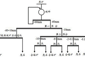 低品位硫化銅礦石的預(yù)選拋廢選礦方法