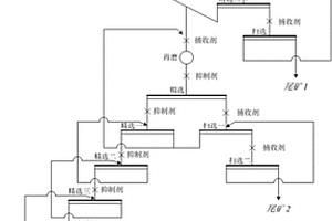 高效回收微細(xì)粒鉬礦的選礦方法