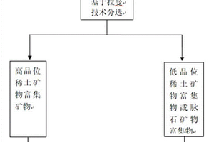 基于拉曼技術(shù)提高稀土礦品位的選礦方法