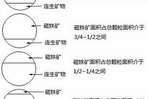 預(yù)測釩鈦磁鐵礦選礦產(chǎn)率的方法及應(yīng)用