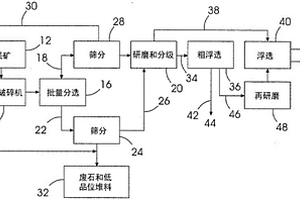 通過連續(xù)排廢最大化硫化礦石資源的價值