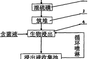 一株耐磷嗜酸氧化硫硫桿菌及其用于中低品位磷礦的堆浸工藝