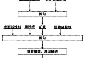 含磷鐵礦石中磷的生物浸出方法