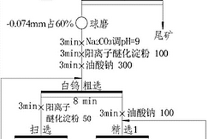 陽離子醚化淀粉在白鎢礦浮選中的應用