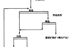 從菱鎂礦石中去除石英的浮選工藝