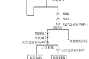 微細(xì)粒磷礦浮選工藝