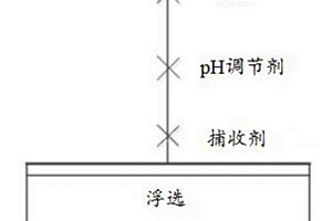 雙子季銨鹽捕收劑的應用