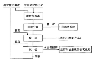 濕法化學(xué)預(yù)處理工藝