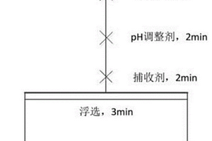 胺類捕收劑的應用