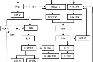 基于磨礦動(dòng)力學(xué)的褐煤易磨系數(shù)測(cè)定方法