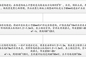 礦石真空去雜分揀裝置