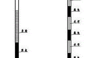 白土定向活化技術(shù)