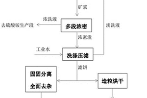 一株解鉀假單胞菌及其應(yīng)用