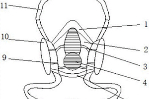 圓盤(pán)磨