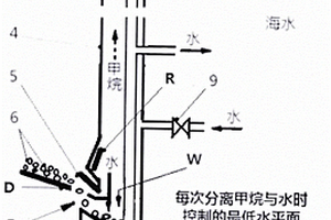 防治水稻白葉枯病藥肥及其使用方法