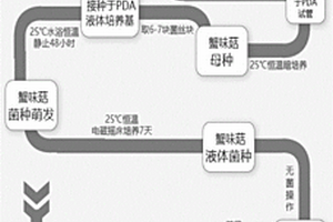 新型高效除磷劑的生產(chǎn)方法