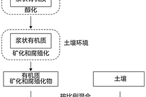 碳對電極及制備方法及鈣鈦礦太陽能電池的制備方法