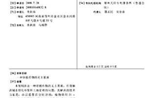 電解錳工藝中進(jìn)行化合及高效壓濾的裝置