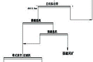 斑馬魚骨質疏松模型的構建方法及其應用