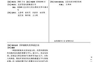 頑石除鐵精細分選設(shè)備以及頑石除鐵精細分選方法