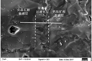 鐵礦石混巖率在線檢測方法