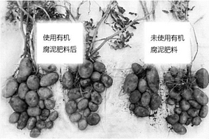 培養(yǎng)基及其制備方法、微生物材料及其用途和制備方法