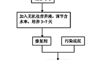 具有環(huán)境消磁功能的折光芳香族聚碳酸酯復(fù)合墻紙