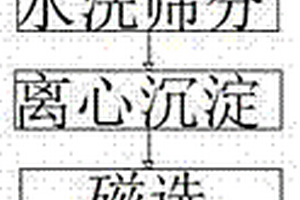 采用粉煤作為艾薩爐噴吹燃料的熔煉煉鉛方法