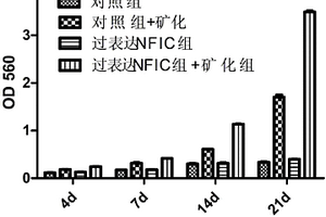 低容重、節(jié)能環(huán)保的新型建筑砌塊