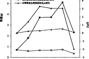 黑滑石吸附劑及其制備方法和應(yīng)用