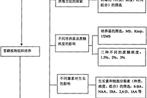 防堵落料斗