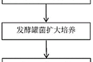 超耐候性建筑外墻漆膜壁布及其制作工藝