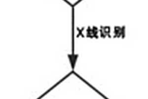 用于肉代用品生產(chǎn)的方法和裝置