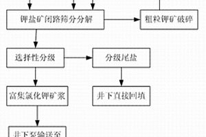 清理運(yùn)輸皮帶上鋼質(zhì)雜物的系統(tǒng)