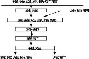 褐鐵和赤鐵礦石直接還原焙燒生產(chǎn)還原鐵用的還原劑