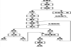 焙燒─磨礦─生物制劑提金工藝