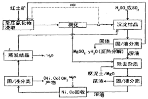 鹽酸存在下用于從礦石回收有價(jià)值金屬的浸取工藝