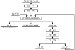 聯(lián)合法處理含銅鎳污泥的工藝