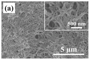 聚苯胺納米纖維/碳布復(fù)合電極材料的制備方法及應(yīng)用