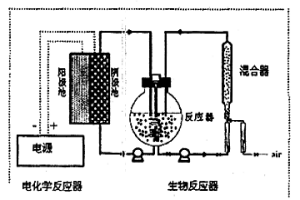 硫化礦浸礦菌生長的高效電化學(xué)培養(yǎng)方法及裝置