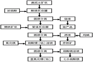 從紅土鎳礦中回收鎳、鈷、鐵、硅和鎂的方法