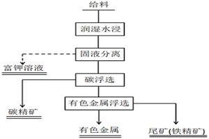 含氟硅酸的藥劑組及其應(yīng)用