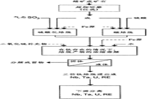 從礦石和精礦中溶解并回收Nb或Ta中的至少一種元素以及U或稀土元素中的至少另一種元素
