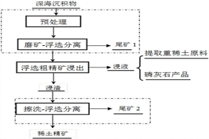 從深海沉積物中提取稀土的方法