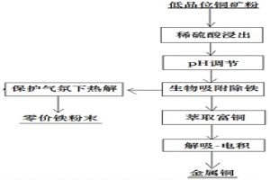 低品位礦有價金屬浸出-生物吸附-電積濕法冶金工藝