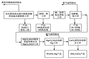 將紅土鎳礦各組分轉(zhuǎn)化為產(chǎn)品的濕法冶金方法