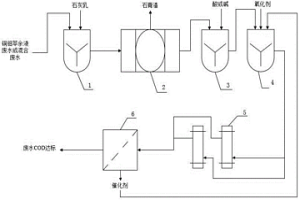銅、鉬萃余液混合廢水去除COD的處理系統(tǒng)