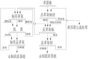 同步萃取分離鈾鉬的方法