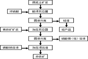 通過聯(lián)合浸出工藝從紅土鎳礦中回收鎳、鈷、鐵和硅的方法