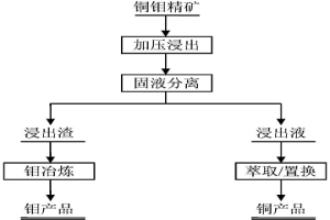 復(fù)雜銅鉬礦的處理方法